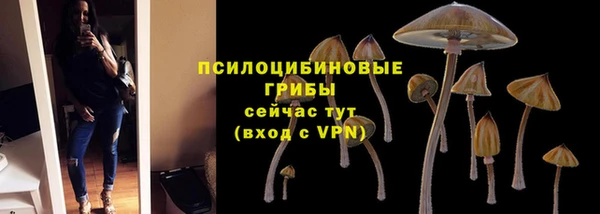 ALPHA PVP Абаза